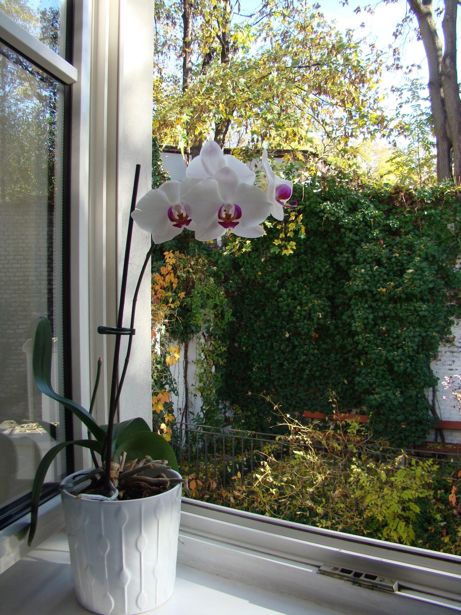 Boutique Hotel 16 Praha Eksteriør bilde